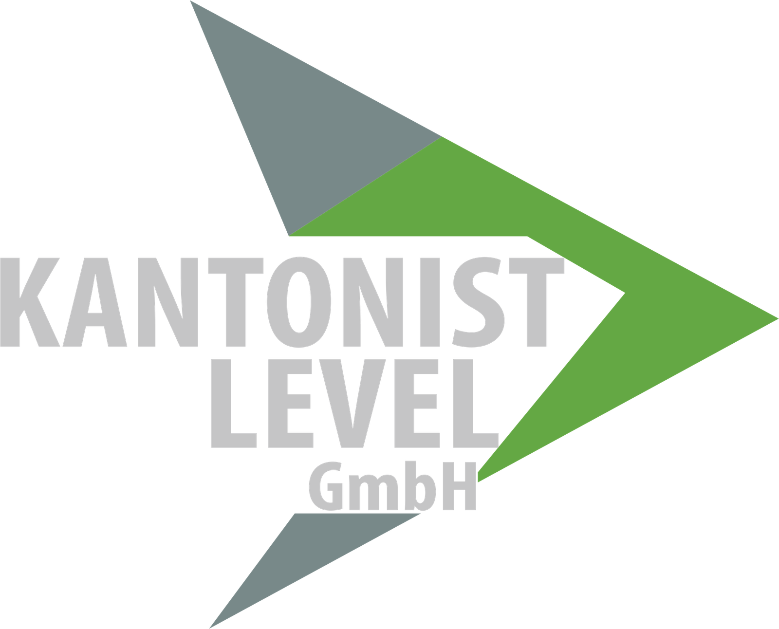Kantonist Level GmbH — zur Startseite